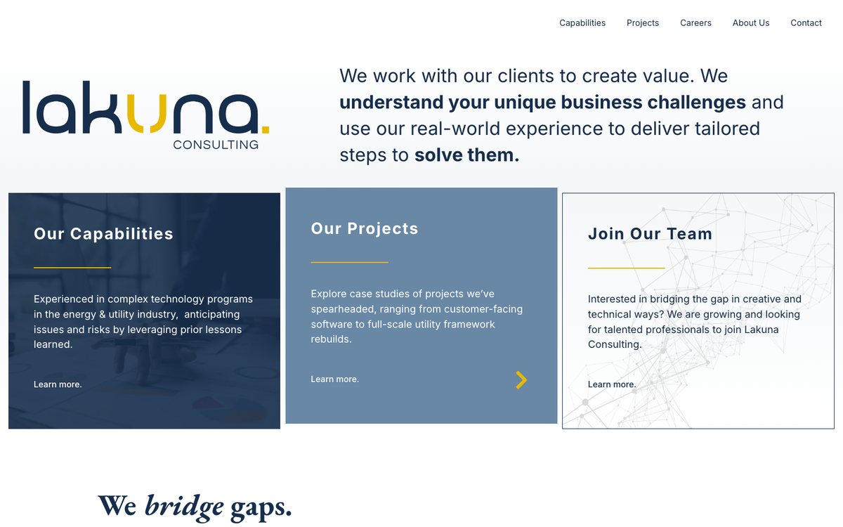 Lakuna Consulting homepage